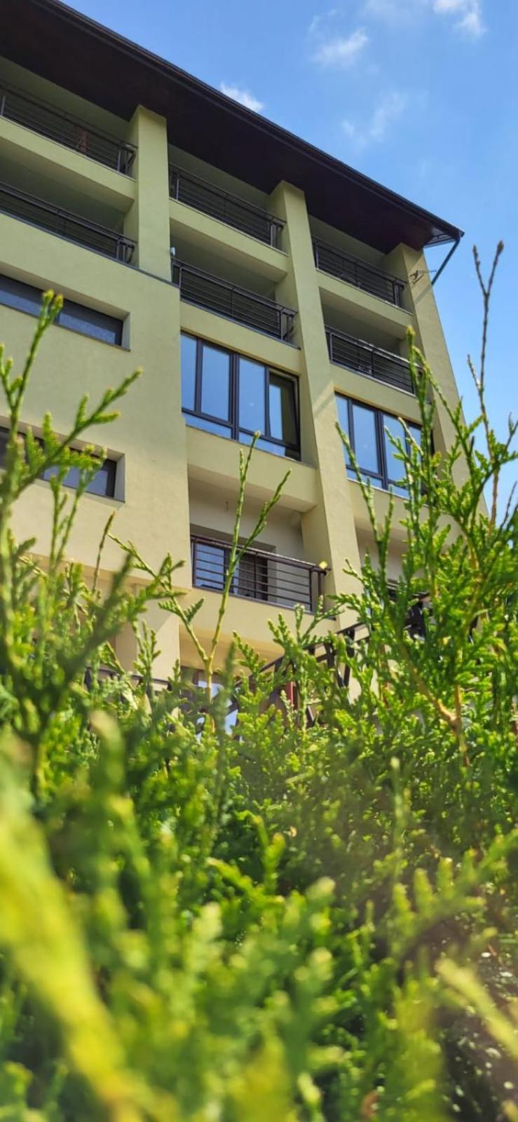 Pension Valea Mariei Ranca Εξωτερικό φωτογραφία